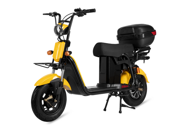 Autonix FLEXI | EV Scooter